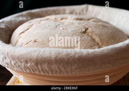 Bread sourdough dough in proofing basket ,before baking, whole wheat recipe. Rye flour. Home made. Stock Photo