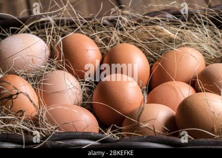 organic eggs in wicker basket fresh raw food on rustic farm background Stock Photo