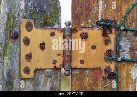 metal dirty stripped paint in the brown red wood door and rusty knocker Stock Photo