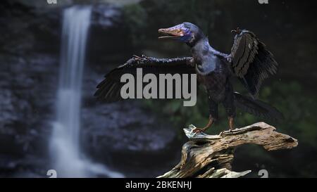 late bird dinosaur late bird dinosaur