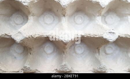 Paper trays empty egg containers. Close-up, top view. Stock Photo