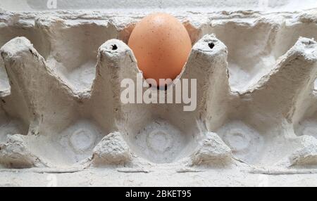 One egg in a package close-up. Lone chicken egg in a tray. Stock Photo