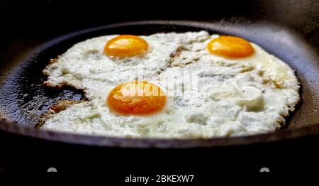Three free range fried eggs in a hot non stick frying pan. Stock Photo