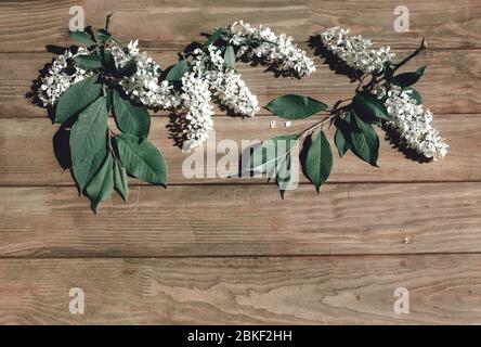 White flowers and leaves on a wooden background Stock Photo