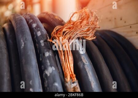 Electrical copper cable with thick inner core, large cross section for high voltage. Stock Photo