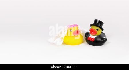 Rubber ducklings dressed as wedding couple on white background with copy space. Stock Photo