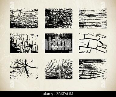 Wood texture for your design. Set wooden background. Stock Vector