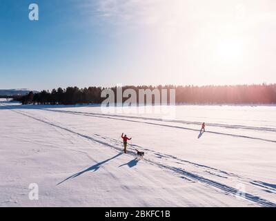 Cross country skiing on track with dog malamute. Concept winter holiday. Aerial top view. Stock Photo