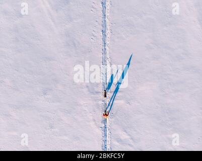 Skijor ski on track with dog malamute. Concept winter holiday. Aerial top view. Stock Photo