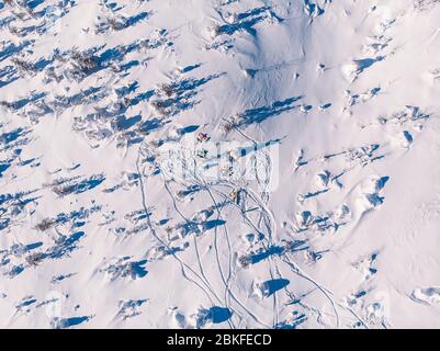 Athlete snowboarder rides off-piste clean snow snowboard, untouched in forest on slope. Aerial top view. Stock Photo