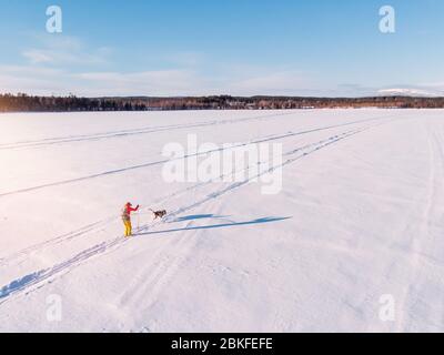 Cross country skiing on track with dog malamute. Concept winter holiday. Aerial top view. Stock Photo