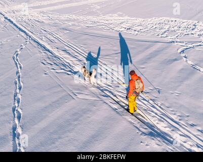 Skijor ski on track with dog malamute. Concept winter holiday. Aerial top view. Stock Photo