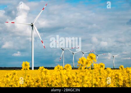 Windenergy in northern Germany surrounded by yellow raps field and blue sky Stock Photo