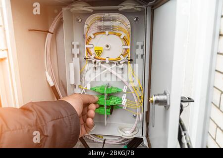 Fiber optical network cables patch panel and switch. Stock Photo