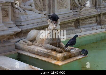 Detail of Fonte Gaia fountain of joy , with the Virgin Mary and baby Jesus. Piazza del Campo Campo square . Siena, Italy Stock Photo