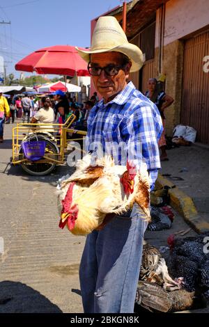 Middle-aged man in a straw hat selling chickens at the Zaachila street market. Stock Photo