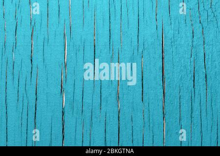 Green mint painted aged wood board texture. Woodboard background. Stock Photo