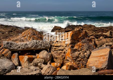South Africa, Western Cape, Plettenberg Bay, Robberg Nature Reserve, Cape Seal, rocky coastline with waves crashing in behind Stock Photo