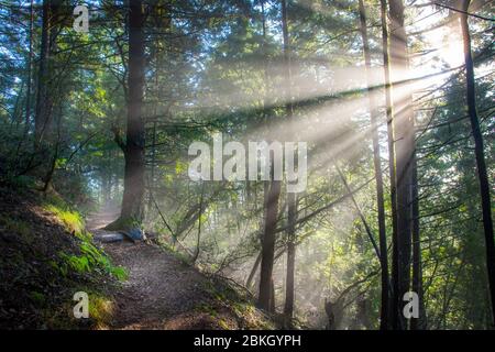 Dramatic morning light, Marin County, California Stock Photo