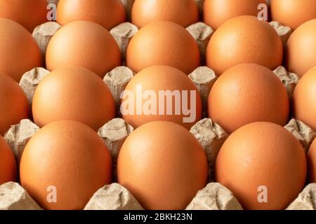 Brown egg in paper packaging. Container for eggs. Recycling. Healthy rustic breakfast Stock Photo