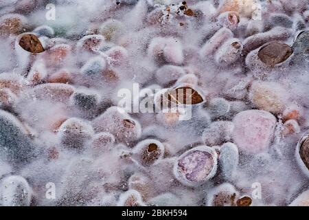 Stones covered with ice formed when water splashed up from Lake Superor waves in Tettegouche State Park along the North Shore of Minnesota, USA Stock Photo