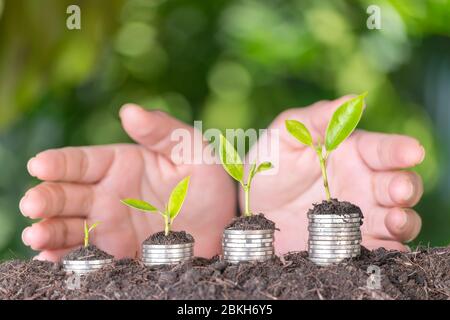 Hand putting coin on coin stack growing graph with green bokeh background. Business growth or saving, retirement concept. Stock Photo