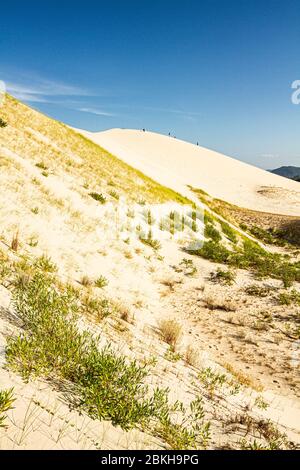 Dunes of Joaquina Beach. Florianopolis, Santa Catarina, Brazil. Stock Photo