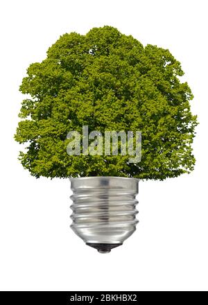 symbolic renewable energy with tree in light bulb Stock Photo