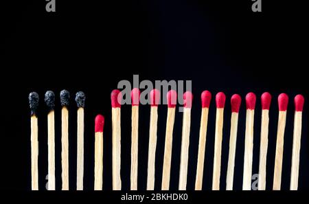 matchsticks burnt in row as sequence while one match stay down from burning to avoid fire connecting against black background, social stop pandemic co Stock Photo