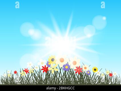 summer flowers grows in sun rays Stock Vector
