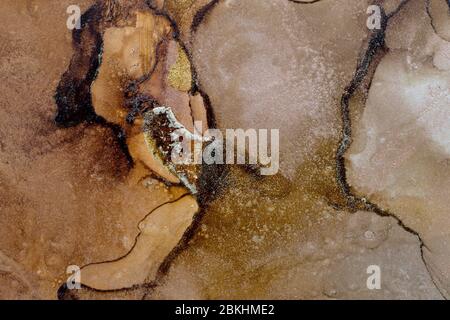 Chocolate and caramel abstract texture background. Alcohol Ink Artwork. Modern contemporary art. Hand painted alcohol ink texture Stock Photo