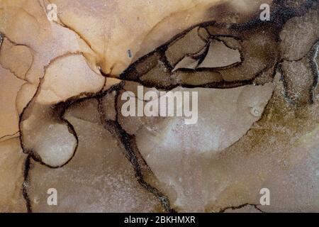 Antelope abstract texture background. Alcohol Ink Artwork. Modern contemporary art. Hand painted alcohol ink texture. Stock Photo