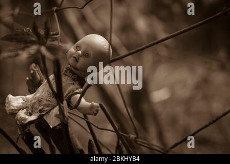 an old dirty doll hangs on a fence, Baby doll with only one eye, creepy doll, black and white, sepia photo Stock Photo