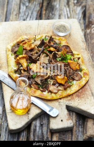 Pizza flavors with wild mushrooms Stock Photo