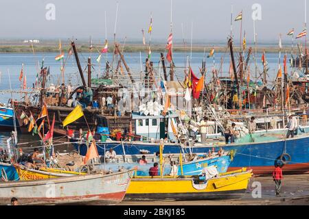 India, Daman and Diu Territory, Diu District, Vanakbara harbour, traditional colorful fishing boats made of wood Stock Photo