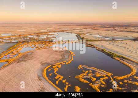 France, Somme (80), Baie de Somme, Saint-Valery-sur-Somme, the enclosures (polders) of the Baie de Somme covered with frost in the early morning (aerial view) Stock Photo