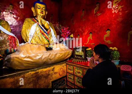 China, Central Tibet, Ü Tsang, Lhasa, Ramoche Temple, Maitreya Bouddha, or of the future