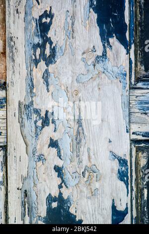 Peeling and battered paint on a old battered door Stock Photo
