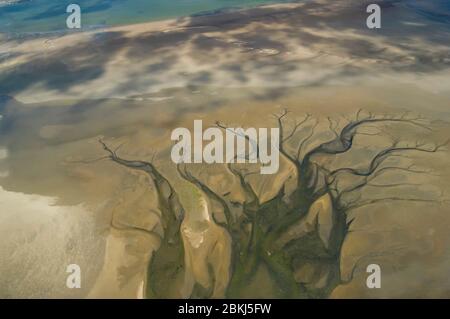 Namibia, Walvis Bay, Namib desert, in the delta of a river, these pinheads are flamingos Stock Photo