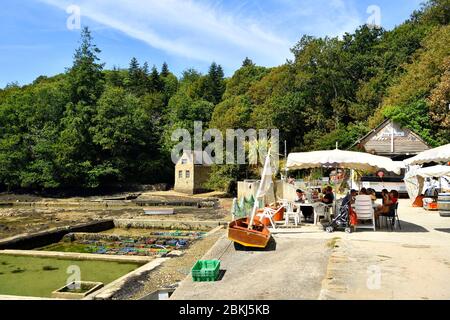 France, Finistere, Riec sur Belon, Port of Belon along the Belon river, Oyster Bar Stock Photo