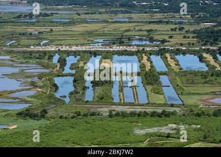 France, Gironde, Bassin d'Arcachon, Audenge, port (aerial view) Stock Photo