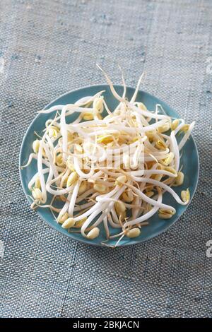 Soy Stock Photo