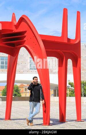 Portugal, Lisbon, Belém, Belém Cultural Center, Berardo Museum (Museu Colecção Berardo), sculpture by Alexander Calder Stock Photo