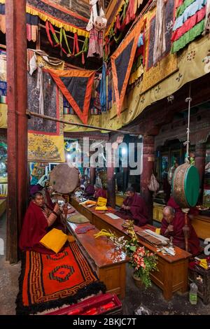 India, Jammu and Kashmir, Ladakh, Hemis Gompa, monks sitting and praying in the temple, altitude 3600 meters Stock Photo