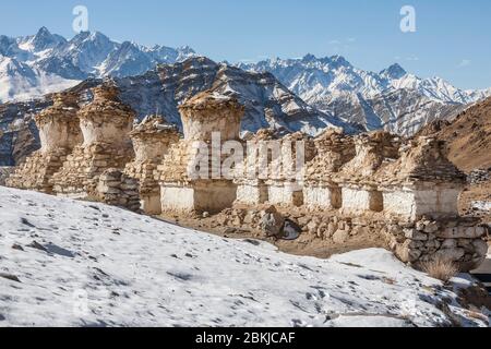 India, Jammu and Kashmir, Ladakh, Likir Gompa, aligned chortens and snow-capped mountains in the background, altitude 3200 meters Stock Photo