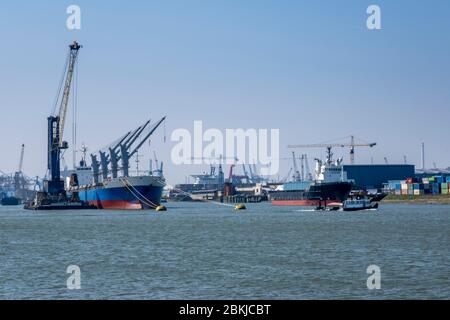 Closed Old vintage wood Door with door lock in white concrete wall, empty abstract interior, square background texture Stock Photo