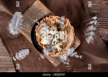 Overhead view of feathers falling on a bowl with quail eggs Stock Photo