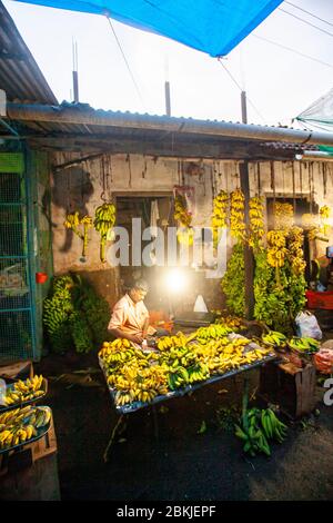India, Kerala, atmosphere in Cochin Stock Photo