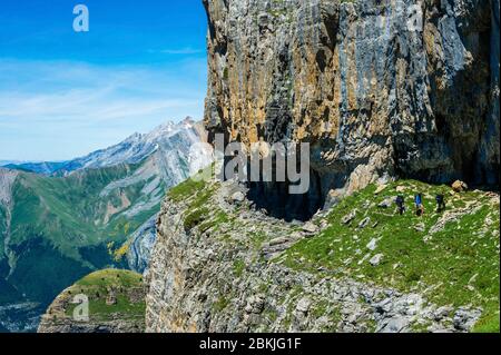 Spain, Aragon, comarque of Sobrarbe, province of Huesca, National Park of Ordesa and Monte Perdido, listed as World Heritage by UNESCO, Faja de las Flores or Flowers ledge Stock Photo
