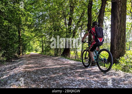 Riding in the wood with a bicycle Stock Photo